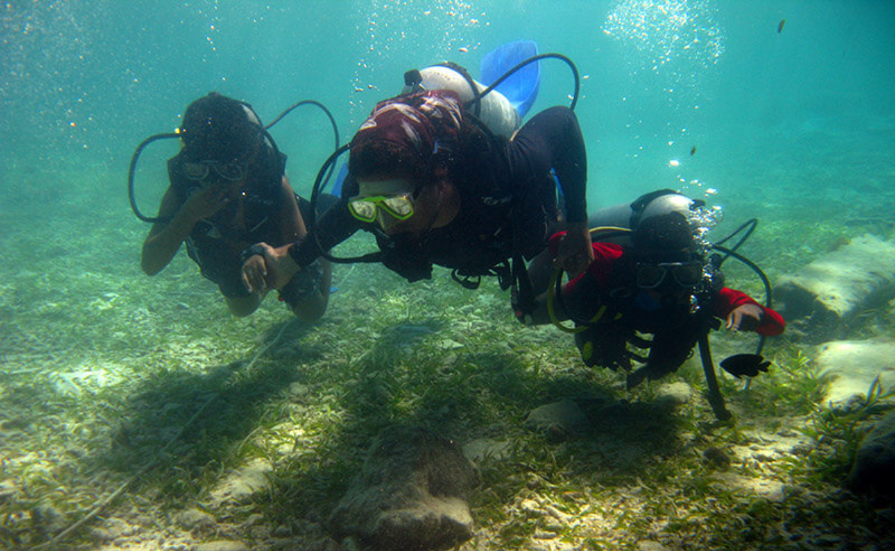 Cursos PADI y Buceo en San Andrés DIVERS TEAM DIVE CENTER