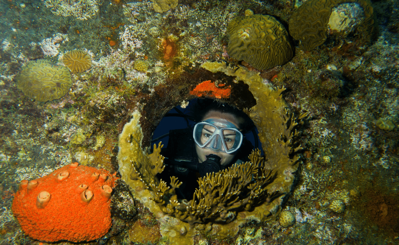 Cursos PADI y Buceo en San Andrés DIVERS TEAM DIVE CENTER