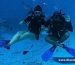 PADI Courses and Scuba Diving in San Andres DIVERS TEAM DIVE CENTER